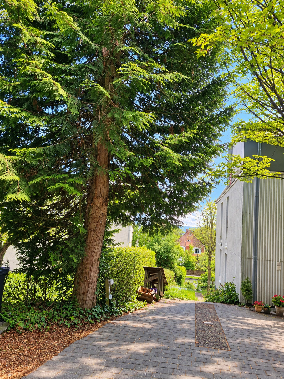 Verkaufe – LEERE -3 Zimmer-Wohnung mit Terrasse und eigenem Garten am Wald sowie neue Küche, 34132 Kassel (Bad Wilhelmshöhe Brasselsberg Niederzwehren Nordshausen Oberzwehren)
