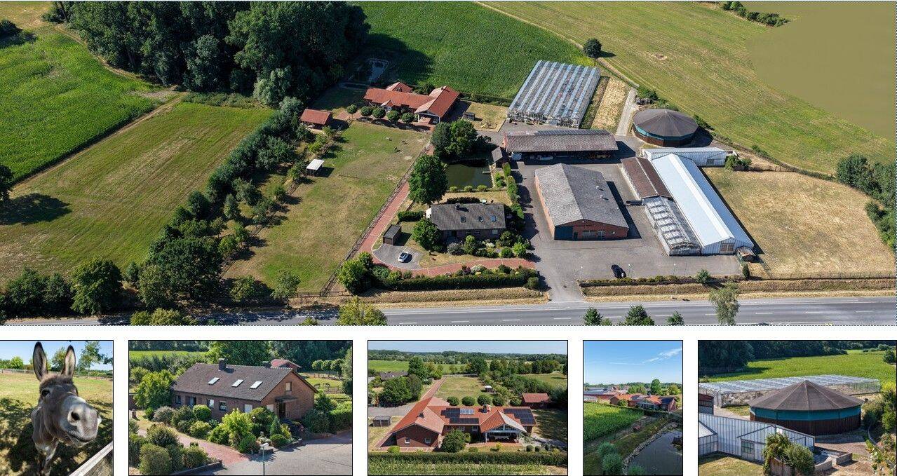 Traumhaftes Anwesen mit exklusivem Wohnhaus, 2-Familienhaus, Pferdeställen, Führanlage uvm. in Selm, 59379 Selm
