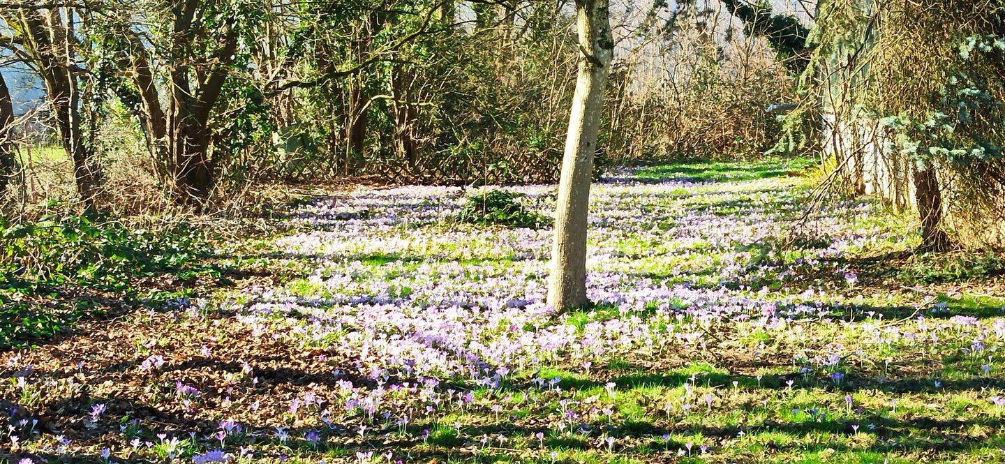 Zentral und Natur nah, 40721 Hilden (Unterbach)
