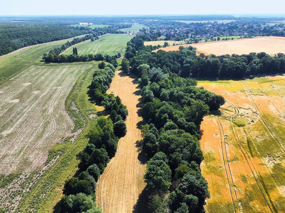 AUTKION: 1,9 ha Acker-/ Grünland und Waldflächen, 4610 Meuselwitz