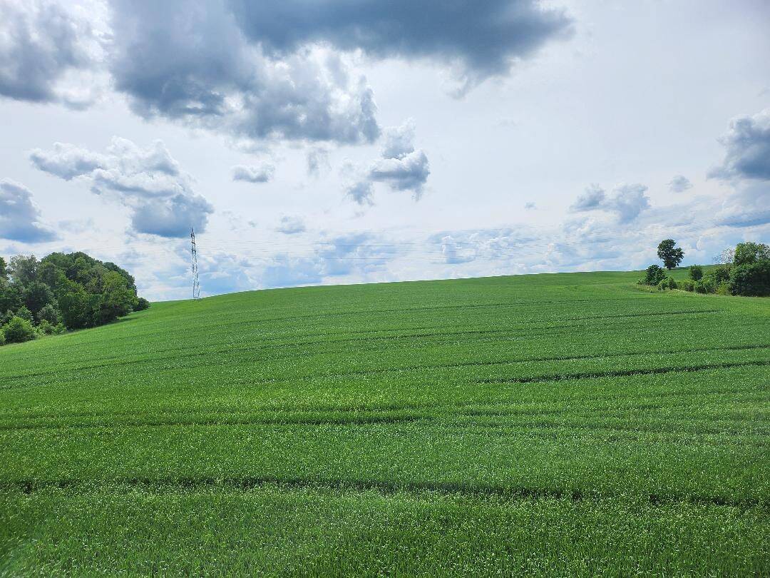 3-Zi-Wohnung mit Ausblick ins Grüne (WE17), 8132 Mülsen