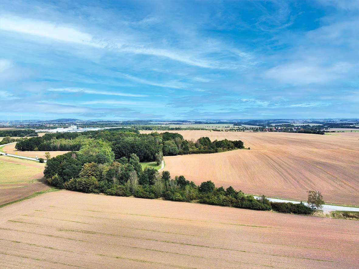 AUKTION: Wald-/Grünfläche, 7580 Ronneburg