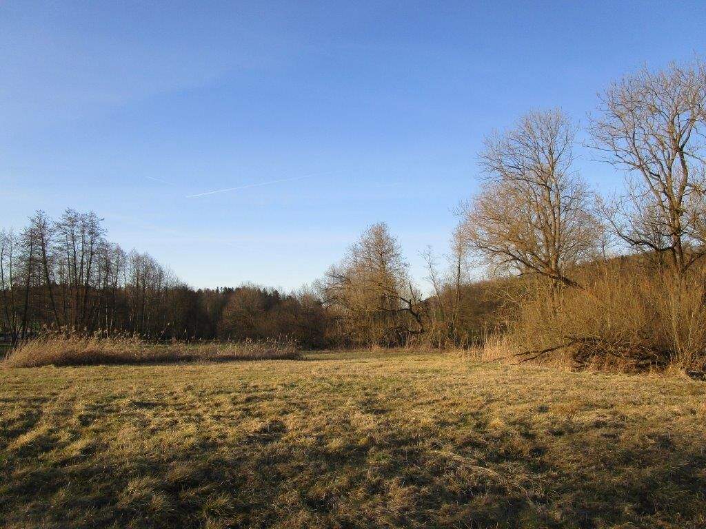 Öko-Punkte – Naturraum D 65 – anstatt Ausgleichsfläche – kein Grundstücksverkauf, 85435 Erding