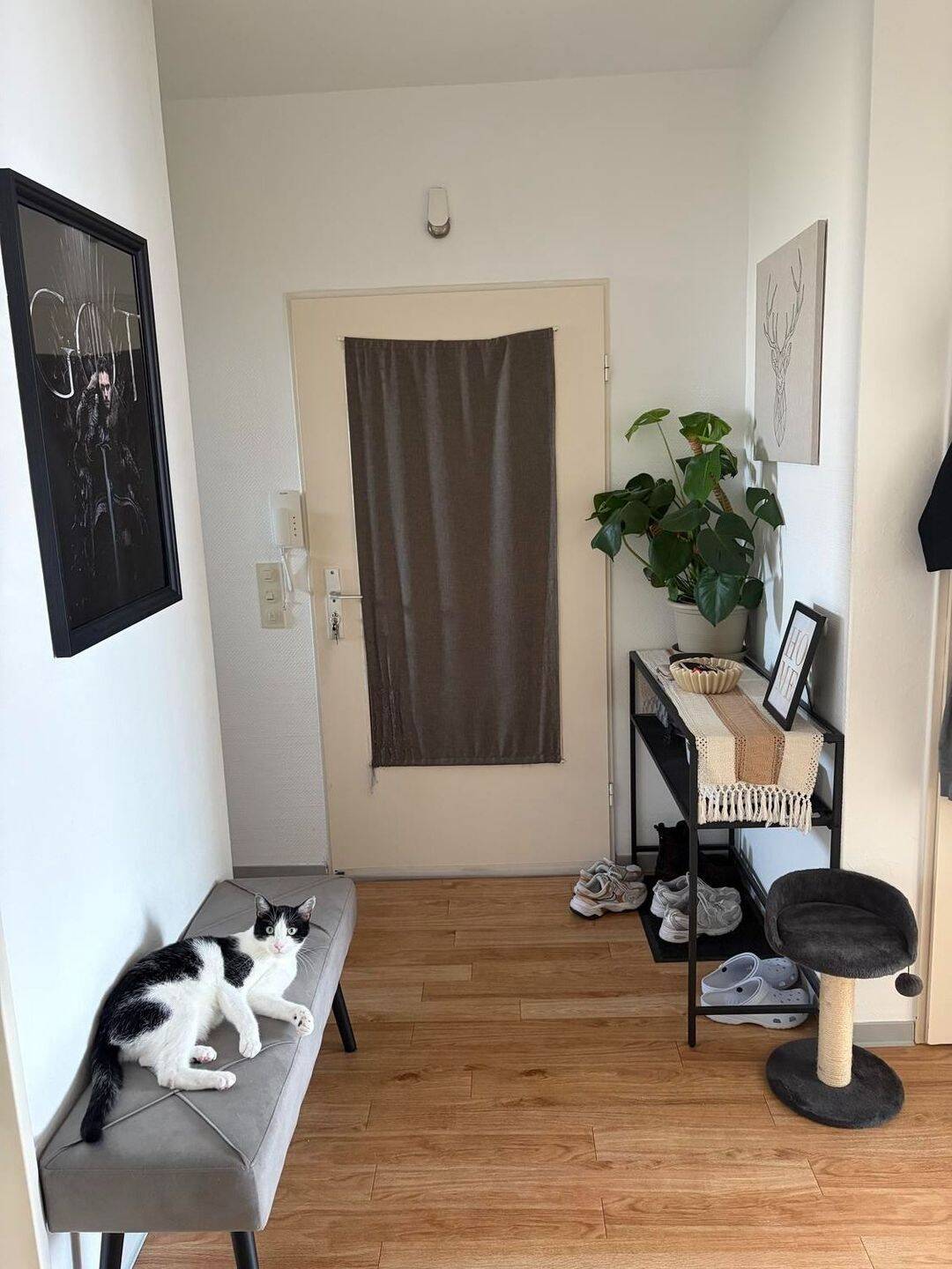 Hochwertig wirkende 3-Zimmer-Wohnung mit Balkon und 80 m² in Eschwege, 37269 Eschwege