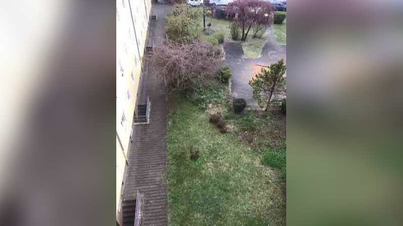 Bild 2