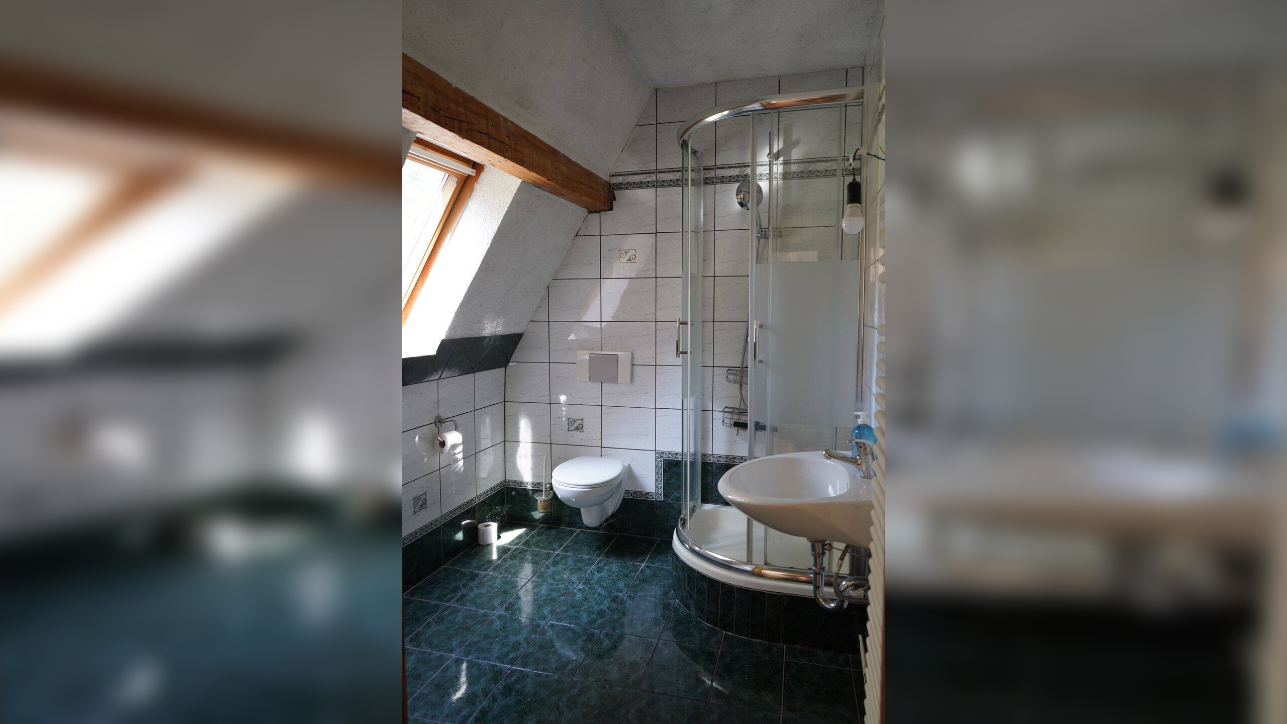 Bild 12