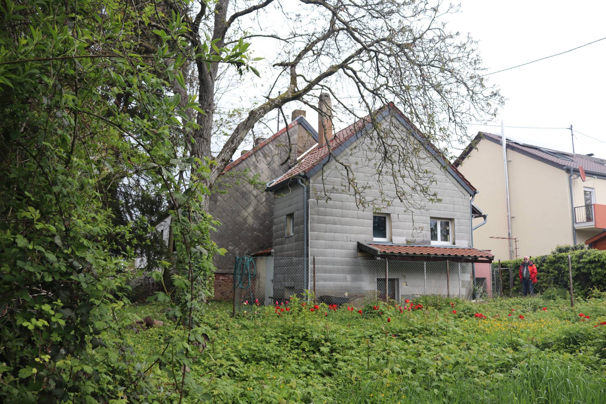 Bild 9
