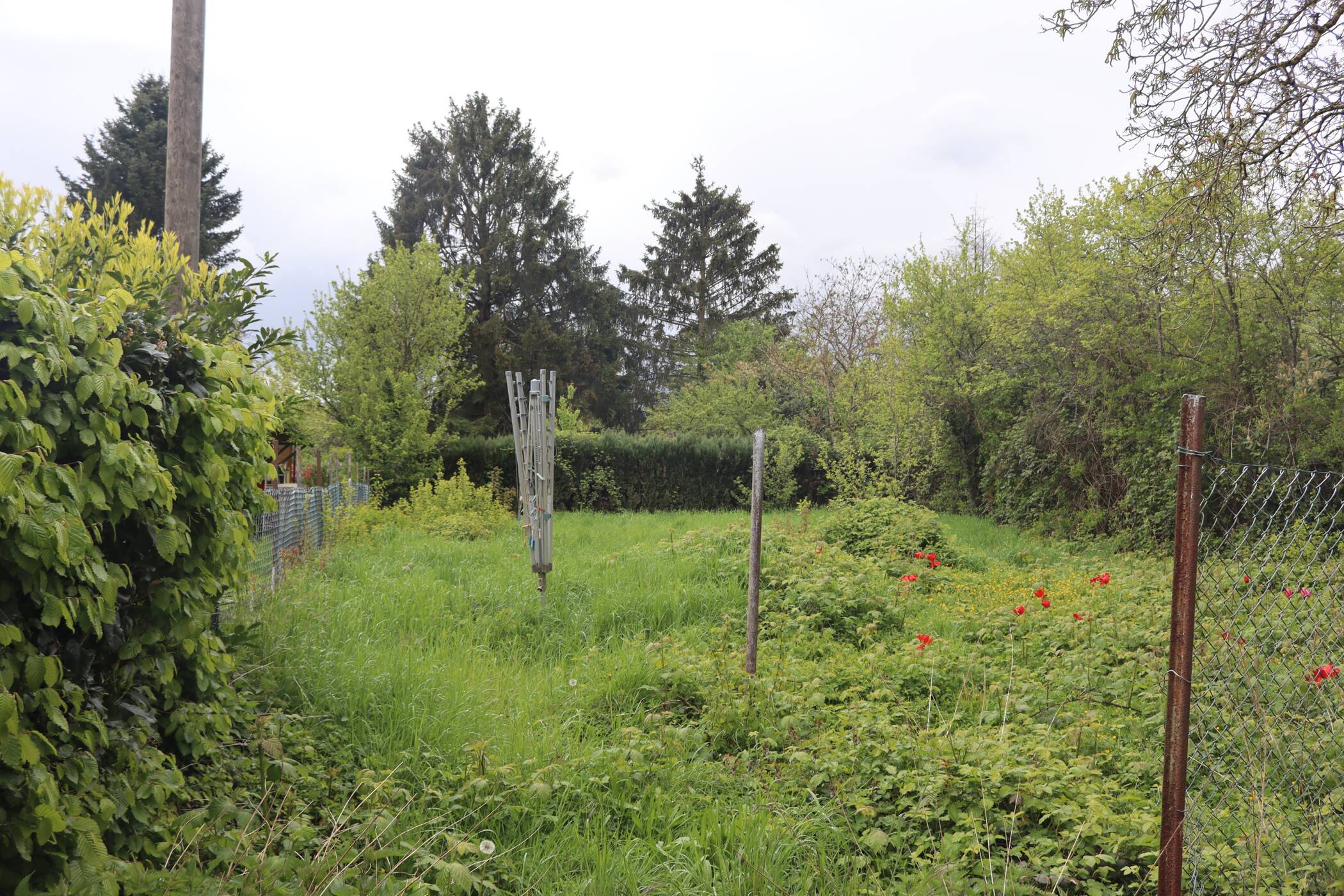 Bild 10