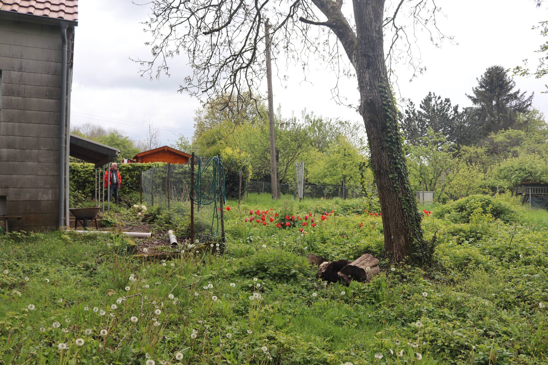 Bild 11