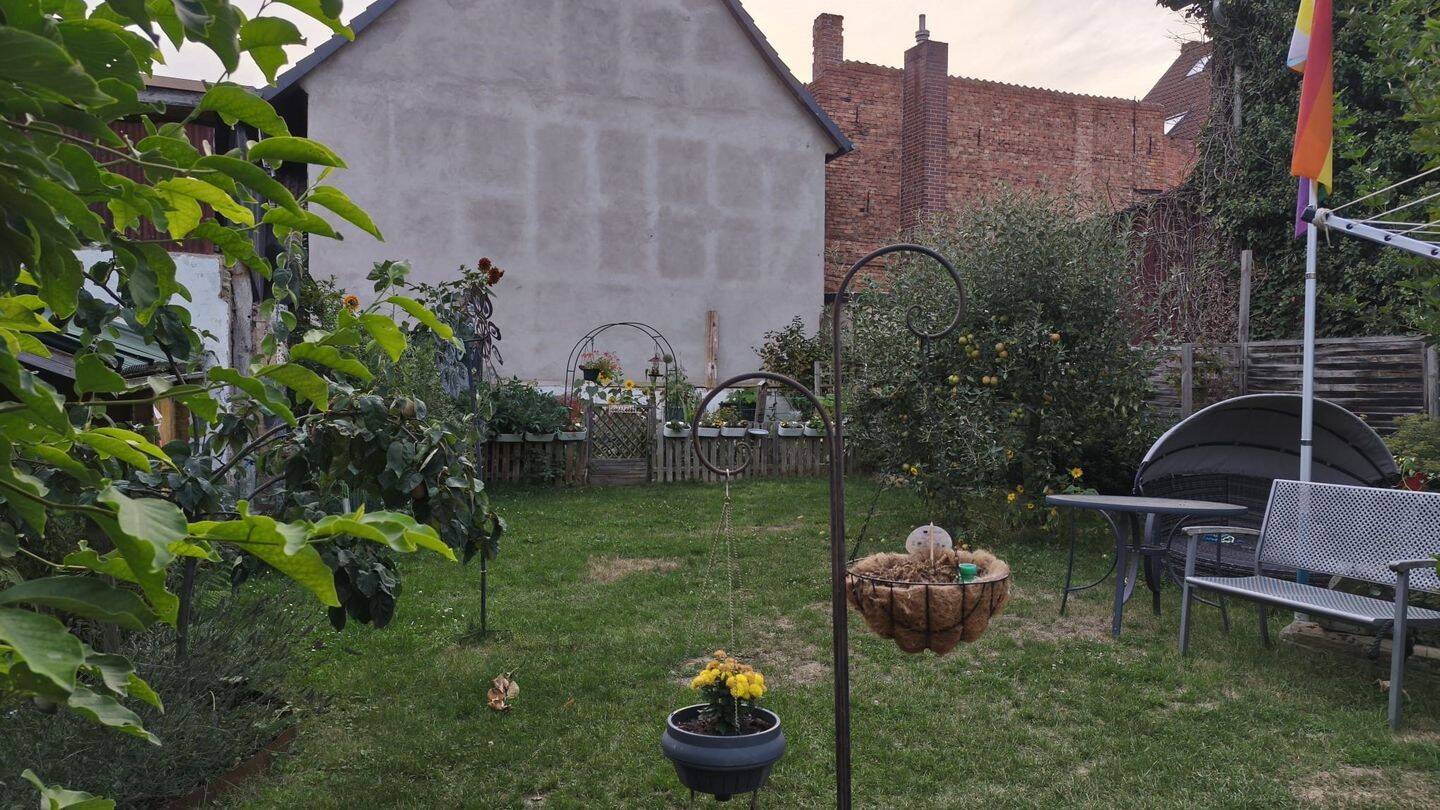 Bild 12