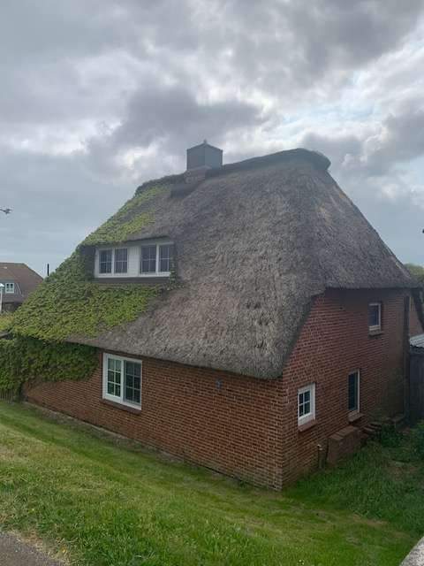 Halbinsel Nordstrand – Romantisches Reetdachhaus direkt am Deich: IHR NEUES FERIENHAUS !, 25845 Nordstrand