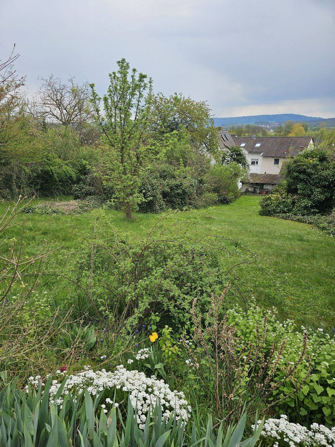 Sofort bebaubares Grundstück in Südhanglage!, 91301 Forchheim