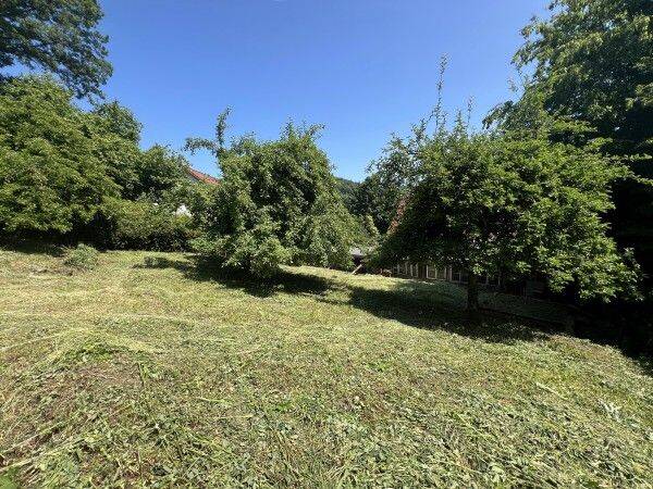 Grundstück leicht geneigt in Simmelsdorf / Hüttenbach, 91245 Simmelsdorf