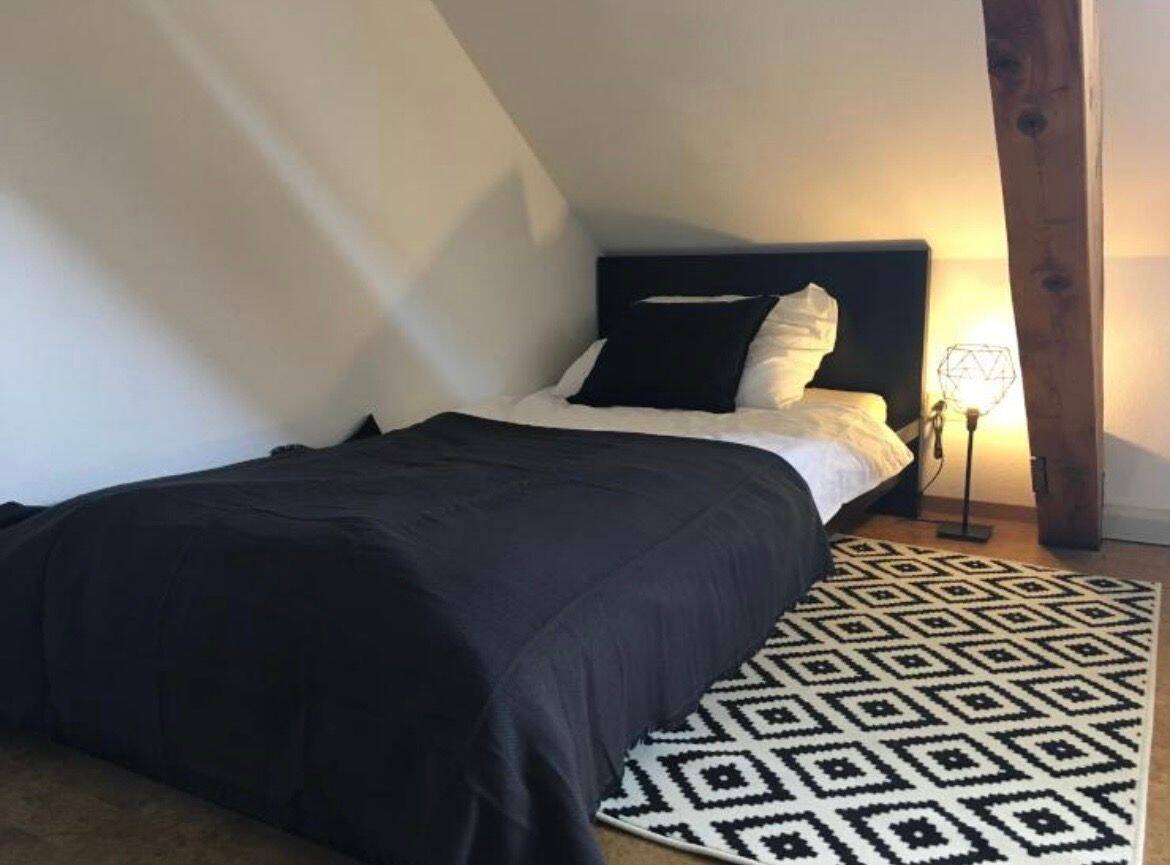 Gemütliches 1-Zimmer-Appartement in Mannheim – 490 € Warmmiete!!!, 68219 Mannheim (Rheinau)