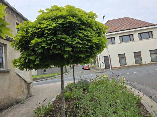 Großzügiges Wohnhaus in 96126 Ermershausen / Haßfurt (ID 10536), 96126 Ermershausen
