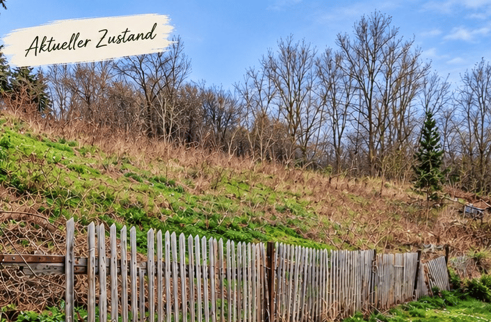 „Niederwillingen bei Stadtilm – 1.114 m² Baugrundstück in Hanglage mit positivem Bauvorbescheid bis 2029“ – auch für Bauträger interessant, 99326 Stadtilm