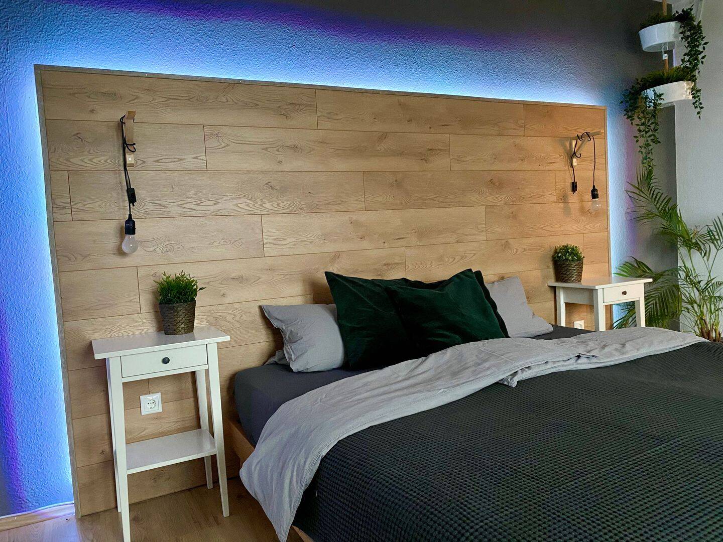 Helles Studio-Apartment im 2.OG mit Aufzug in Essen, 45147 Essen (Frohnhausen Holsterhausen Rüttenscheid)