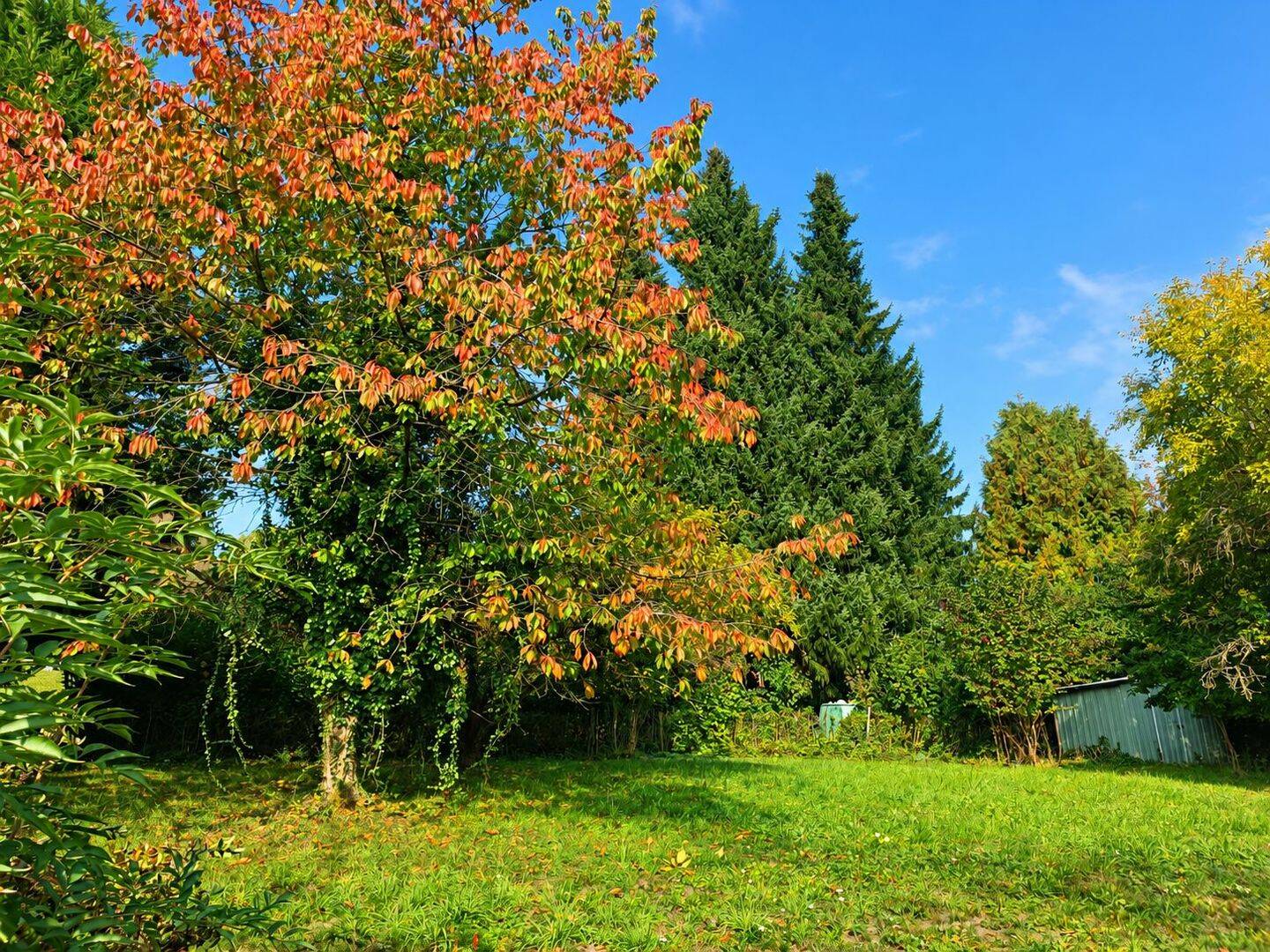 Einfamilienhaus mit Einliegerwohnung und großzügigem Garten in ruhiger Lage, 94086 Bad Griesbach i. Rottal
