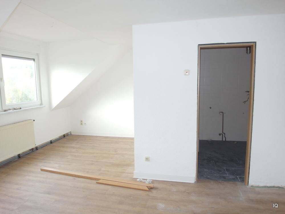 Ab Dez. 2026: Gemütliche 1-Zimmer-Dachwohnung mit offener Küche, Laminatboden & neuem Bad mit Dusche, 4720 Döbeln