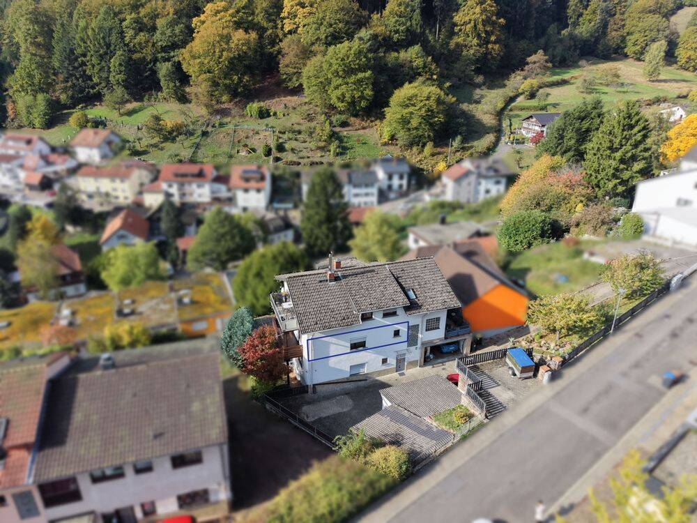 GLOBAL INVEST IMMOBILIEN SINSHEIM | Erstbezug nach umfassender Sanierung – 2,5-Zimmer-Wohnung in Ziegelhausen, 69118 Heidelberg (Peterstal Schlierbach Ziegelhausen)