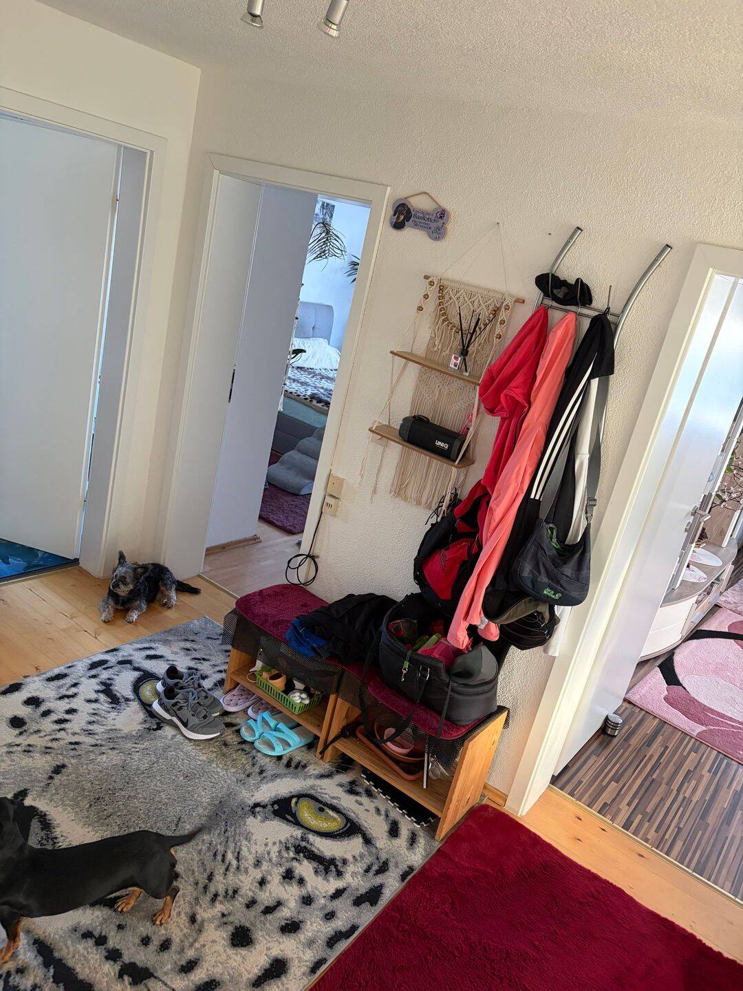 3 Zimmer Wohnung, 77836 Rheinmünster
