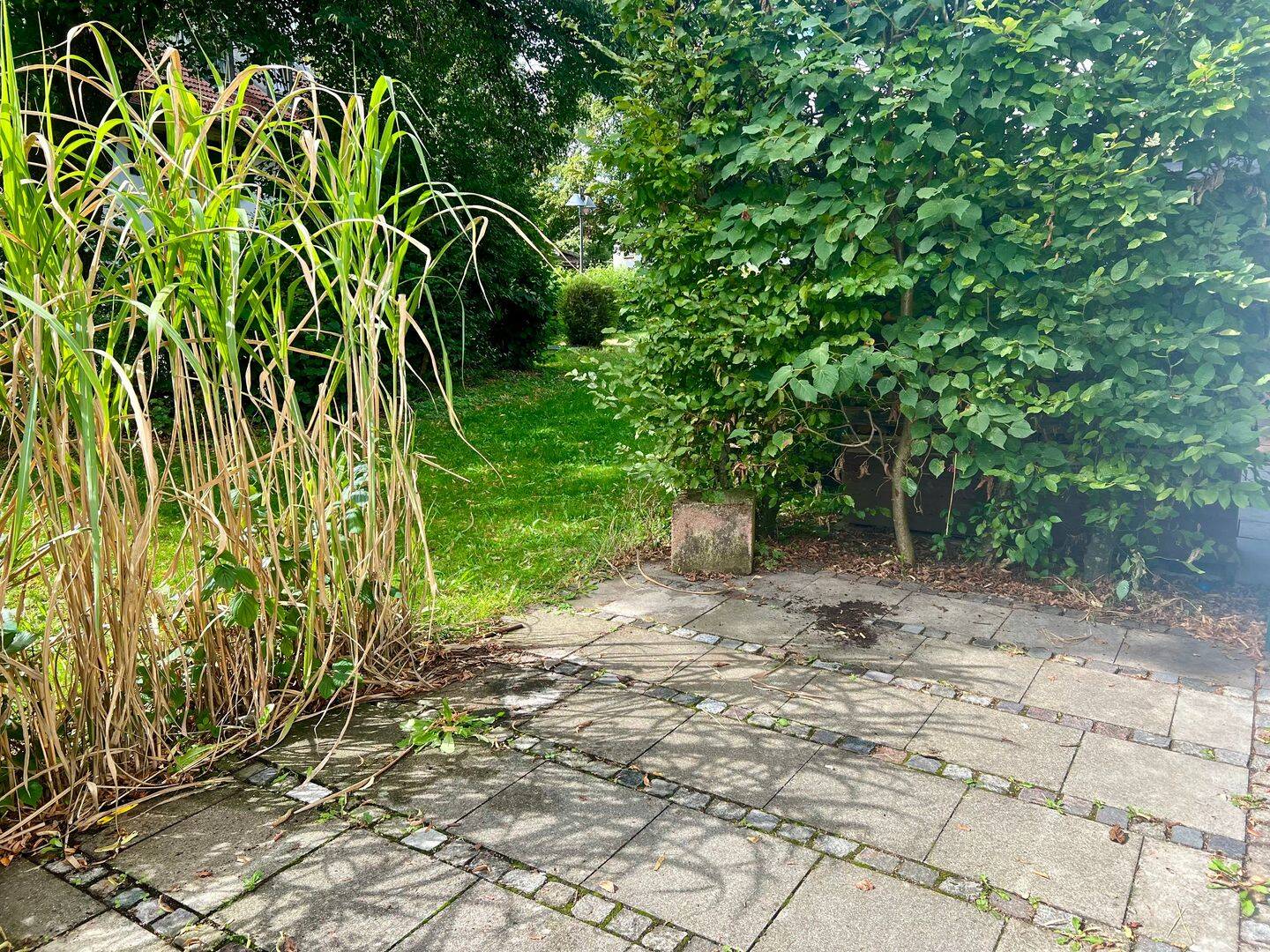 Bild 7