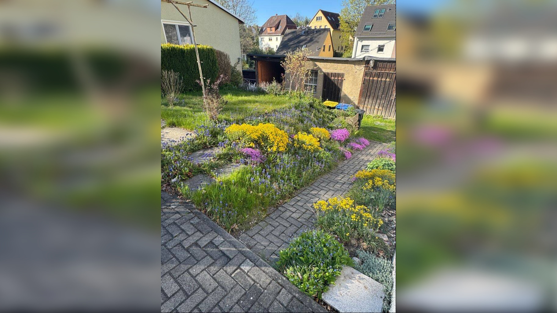 Bild 11