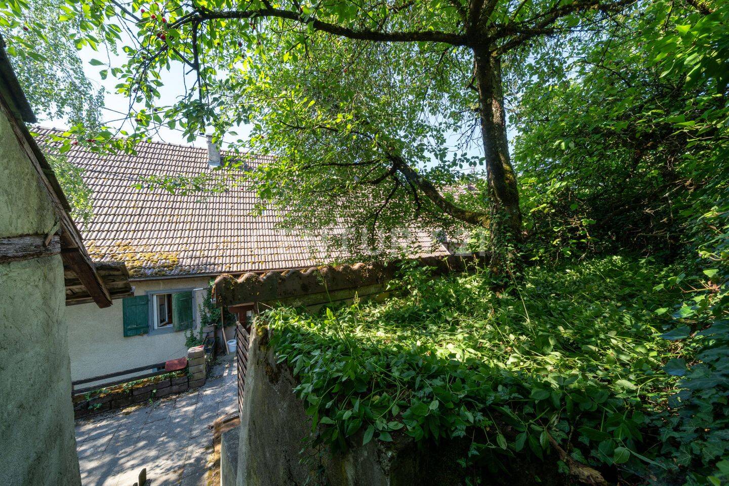 Bild 10