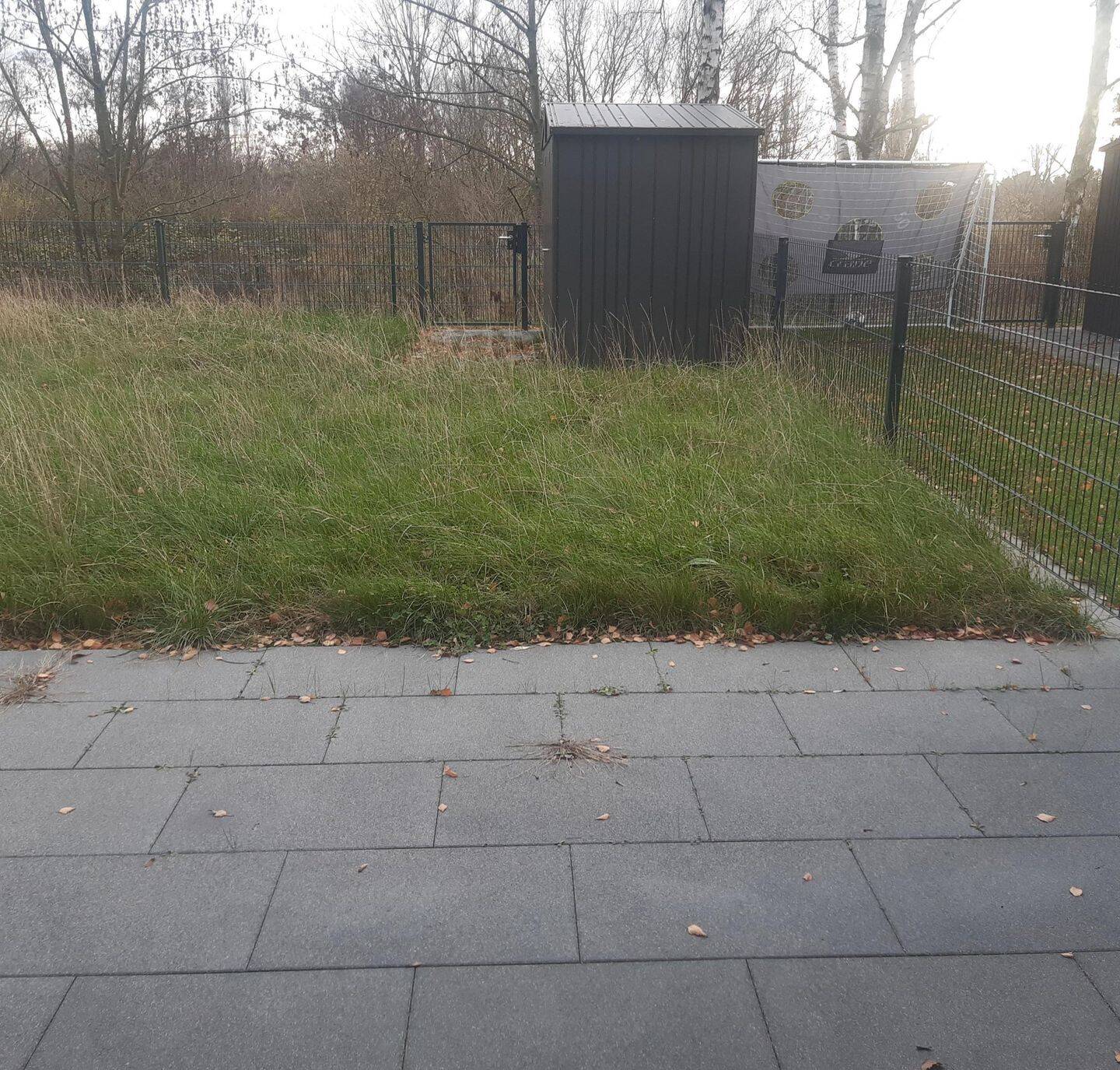 Bild 10