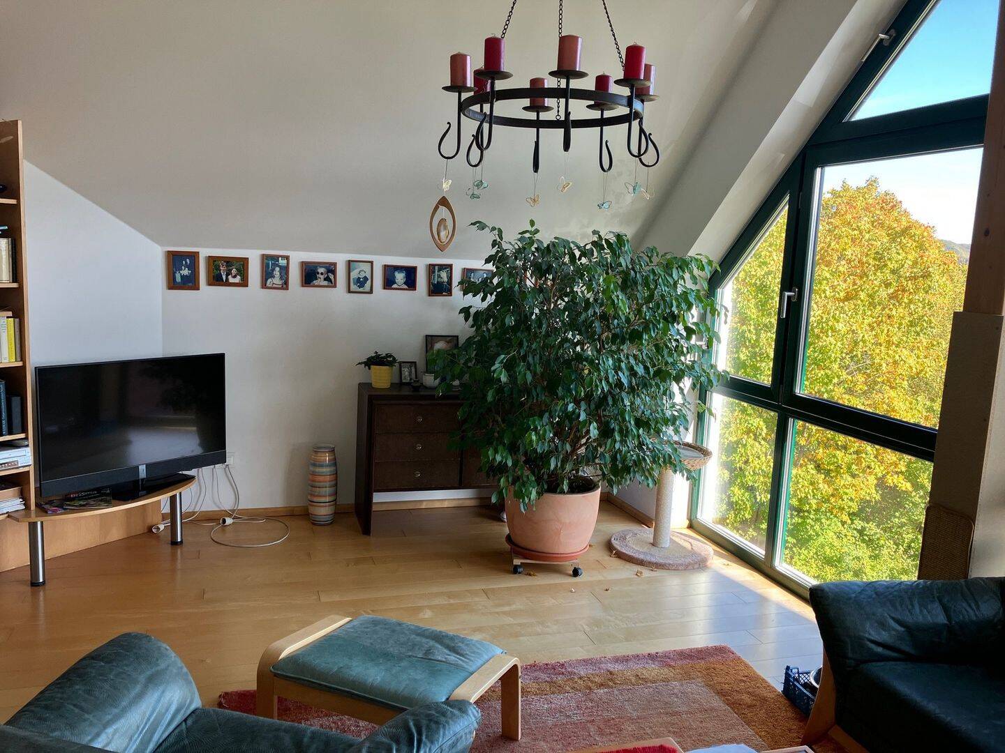 Bild 9