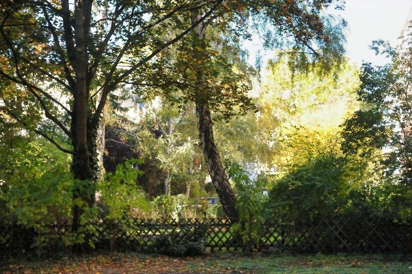 Hier investieren Sie sicher: solide vermietete 2,5 Zimmer-Wohnung in Bestlage Bayerisches Viertel Berlin-Wilmersdorf, 10779 Berlin (Tempelhof-Schöneberg Schöneberg Wilmersdorf)