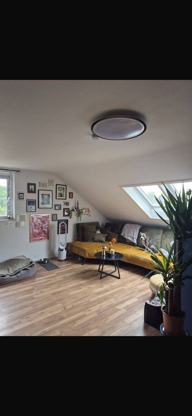 Ruhige,helle und schöne Wohnung zu vermieten., 50354 Hürth