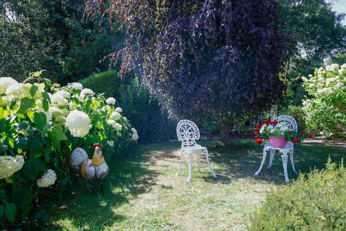 Bild 9