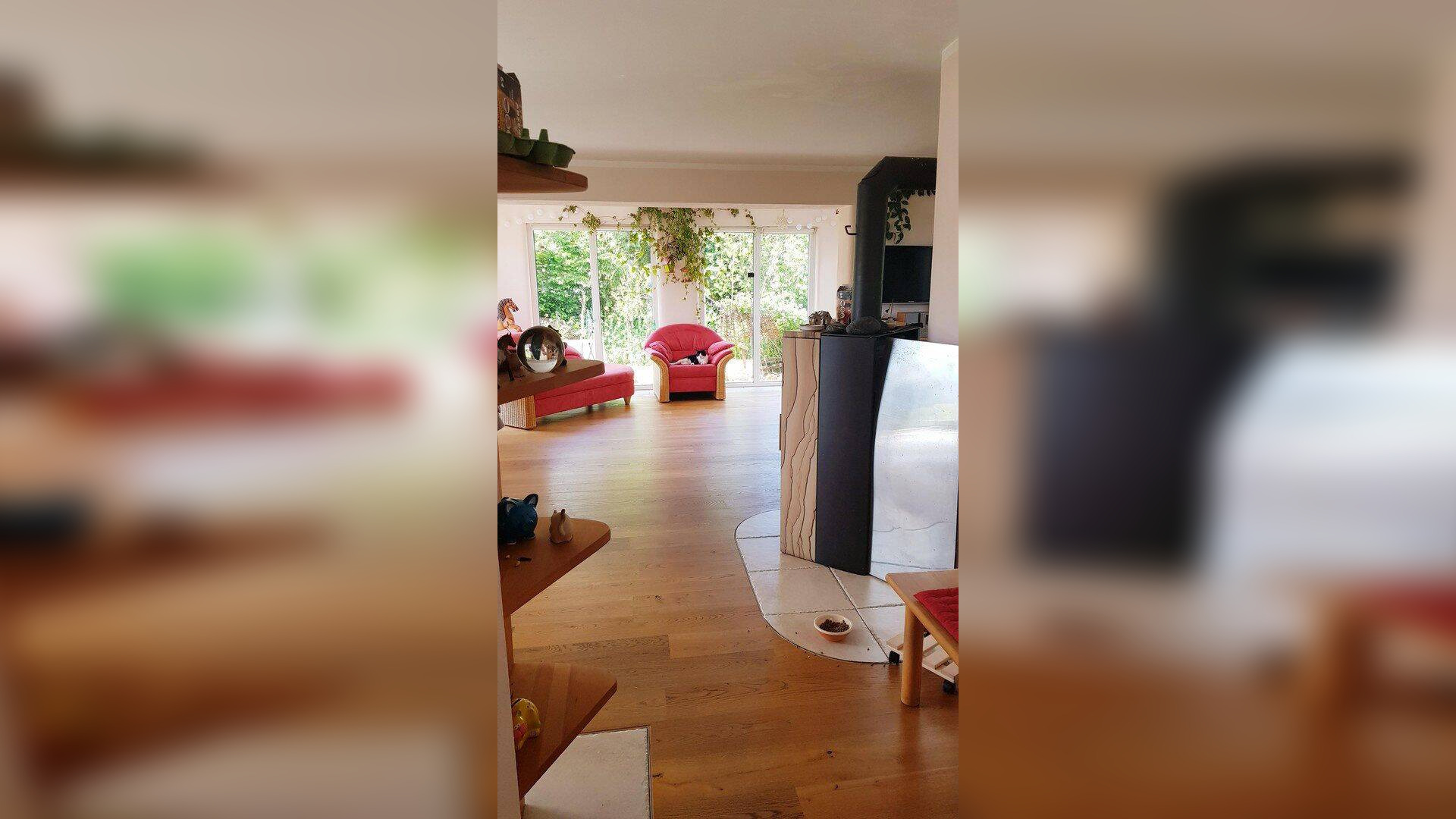 Bild 11