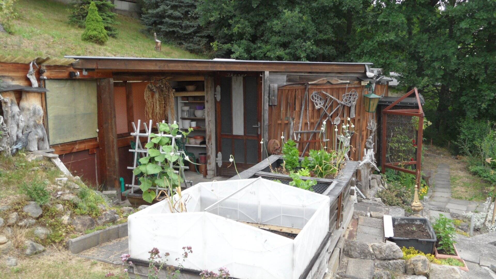Bild 7