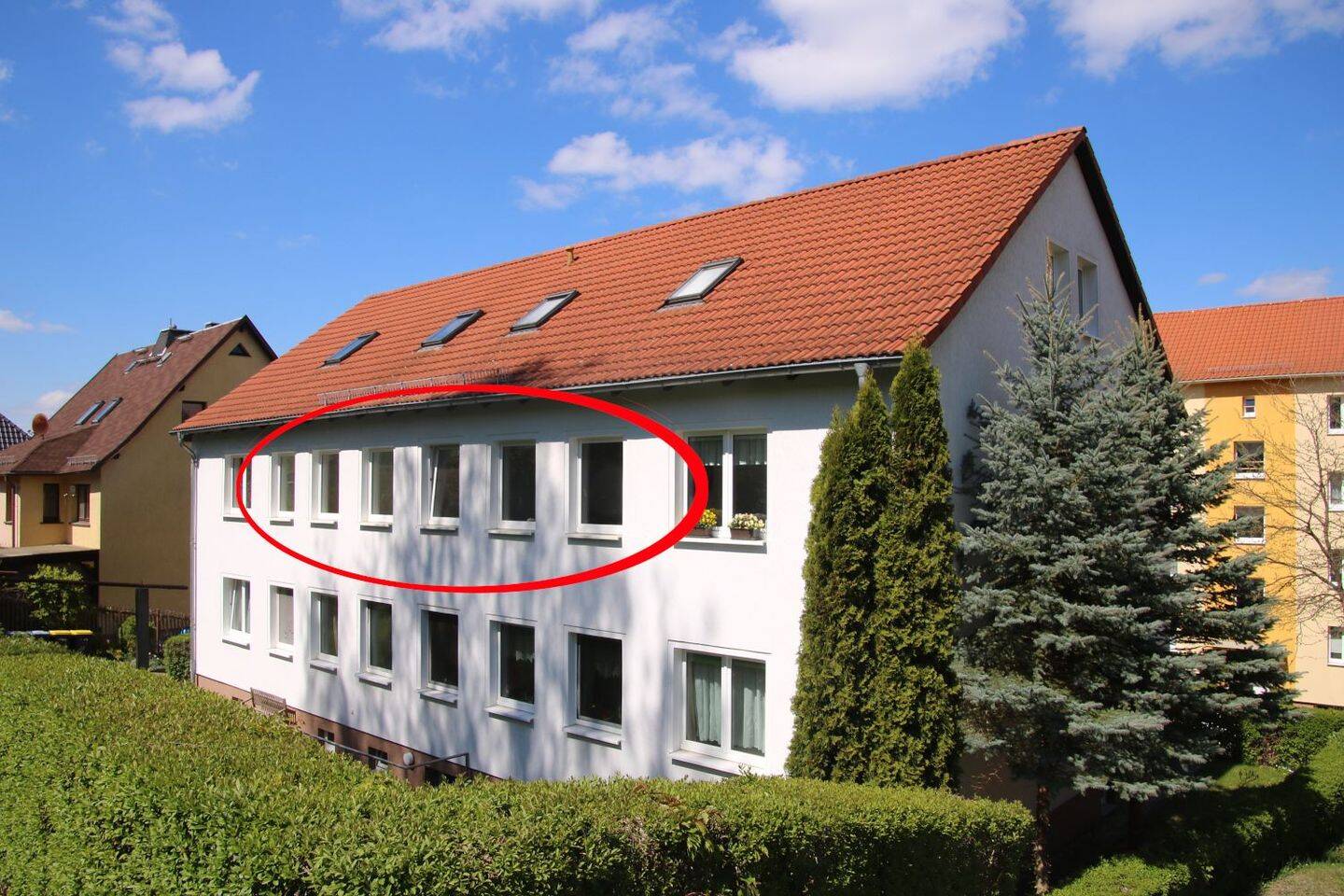 Bild 7