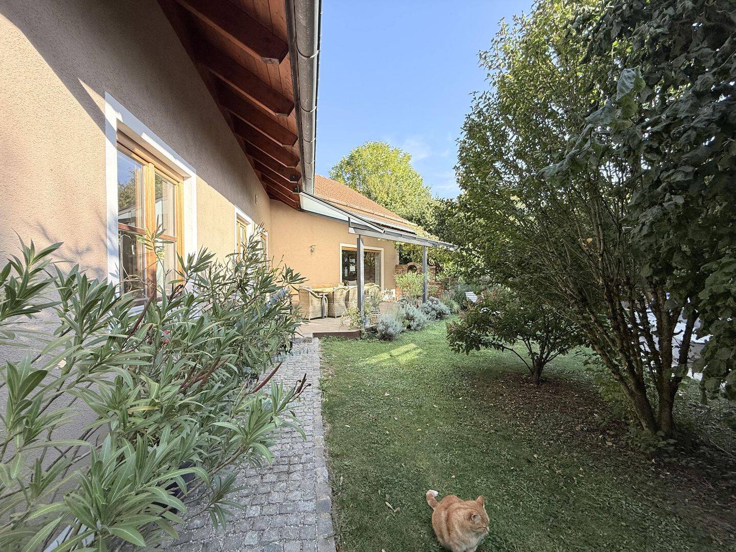 Bild 6