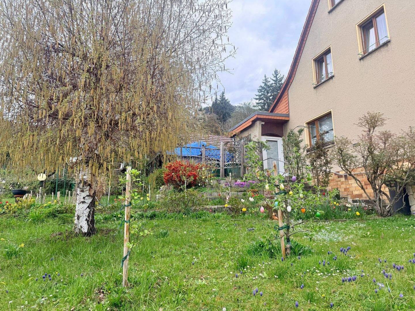 Bild 7