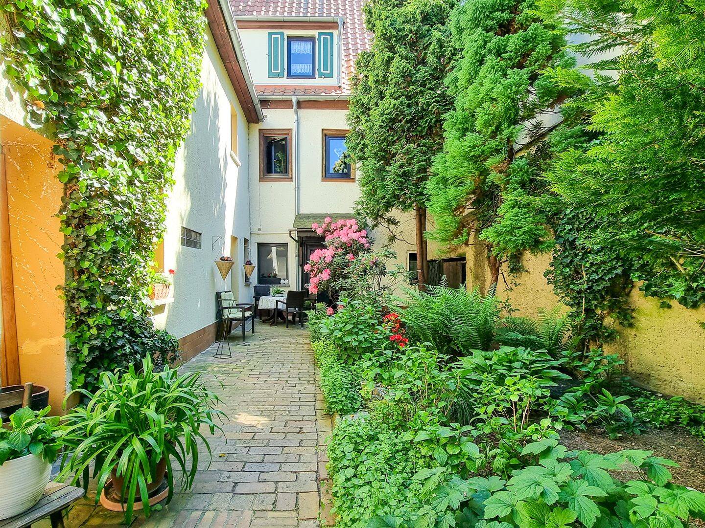 Bild 5