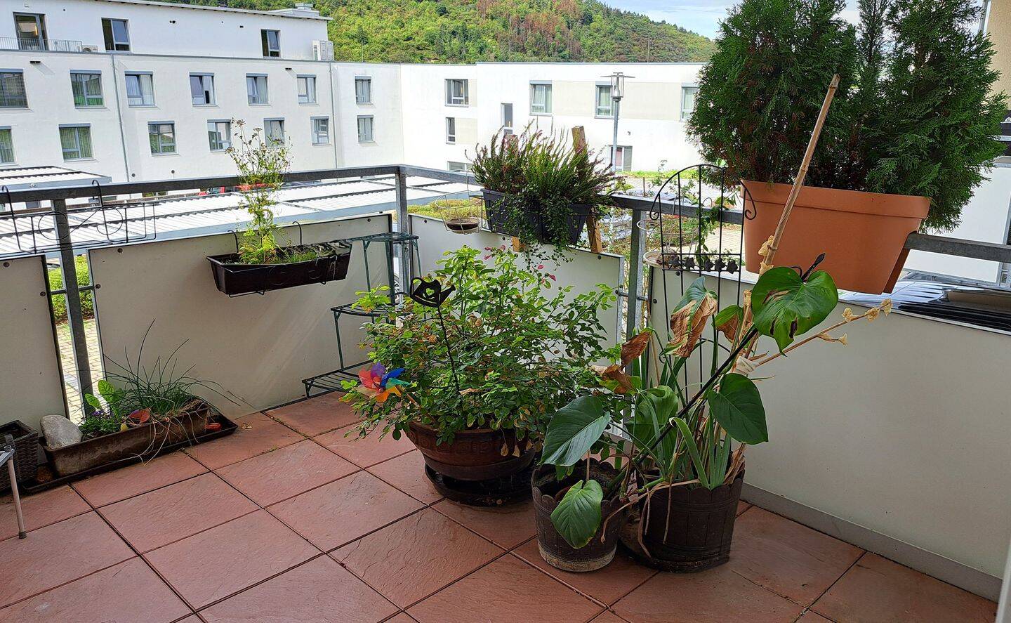 Bild 9