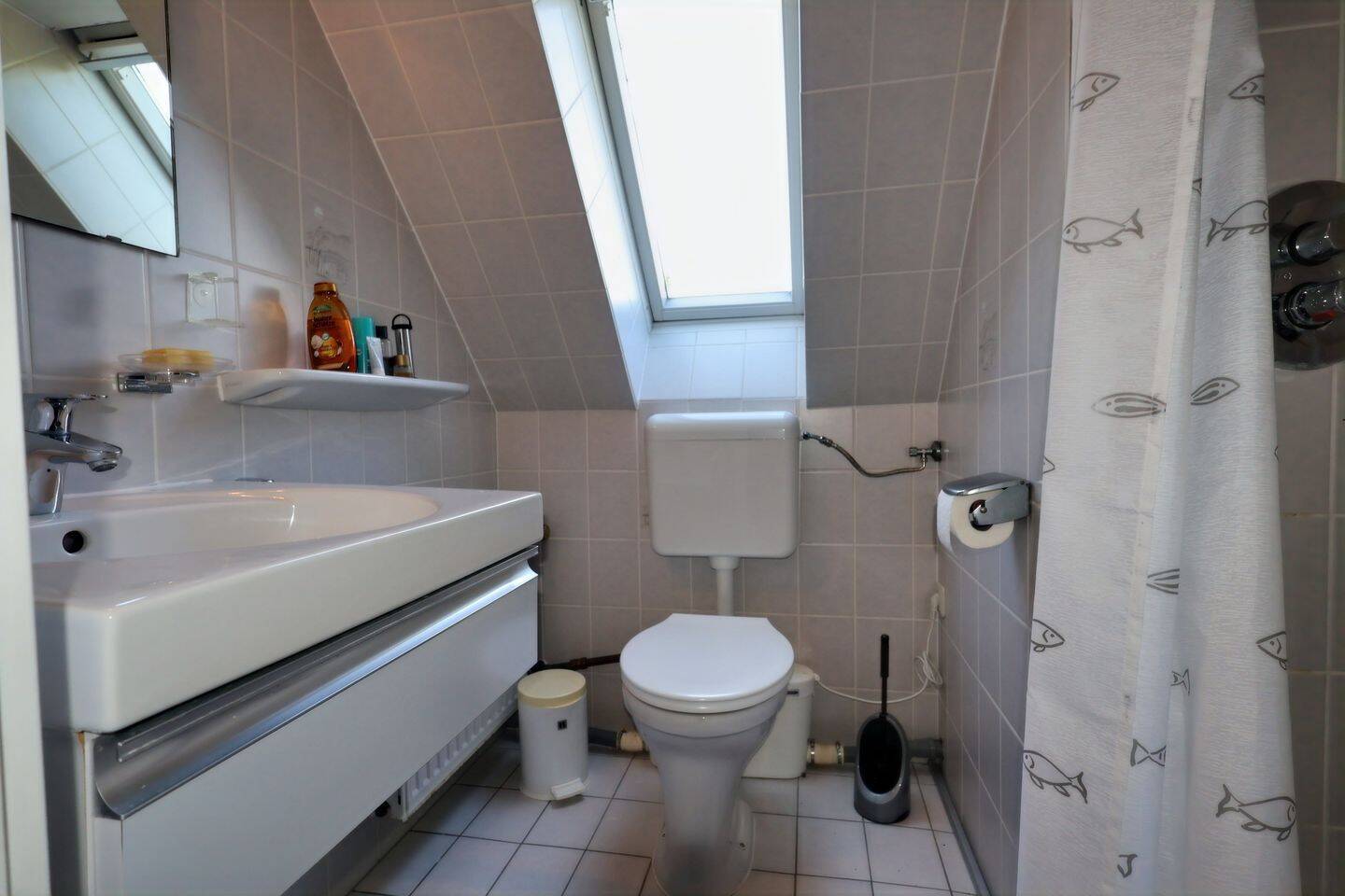 Bild 9