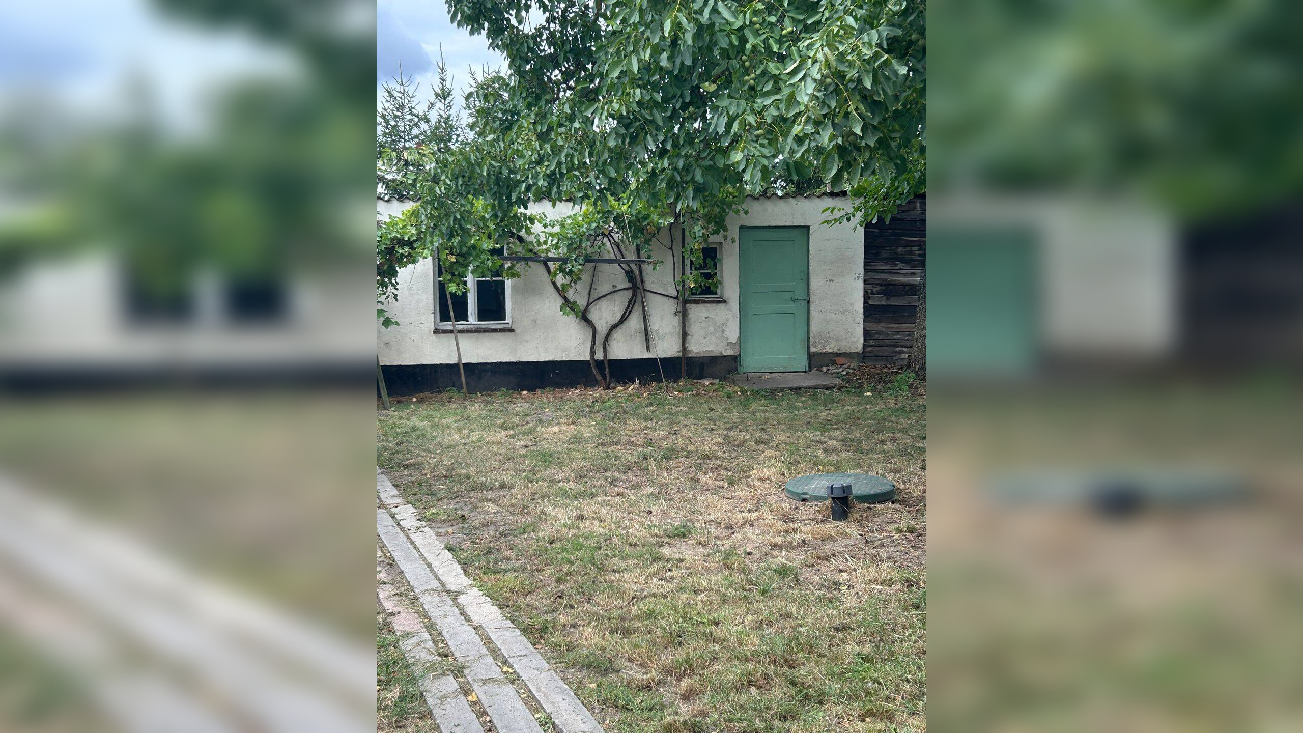 Bild 11