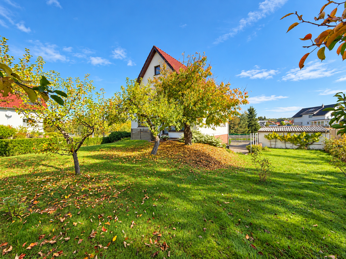 Bild 12