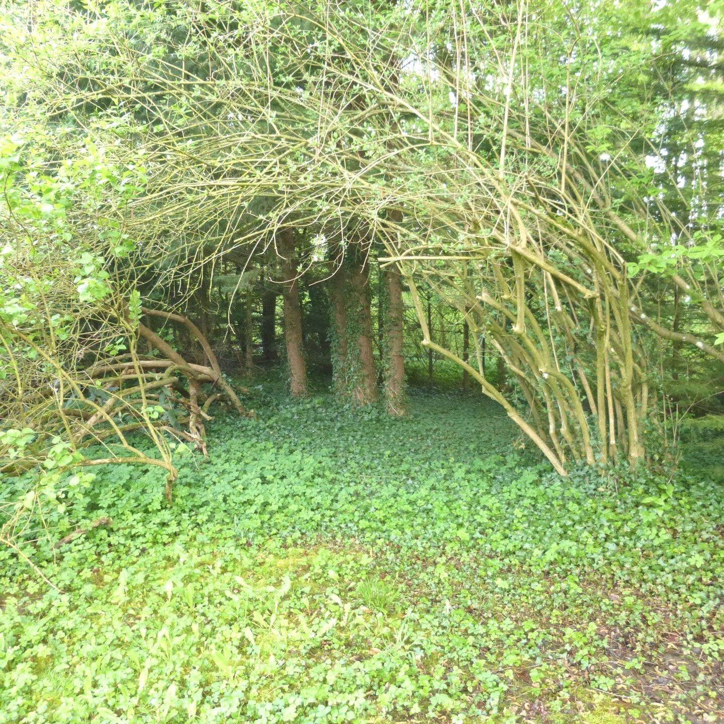 Bild 11