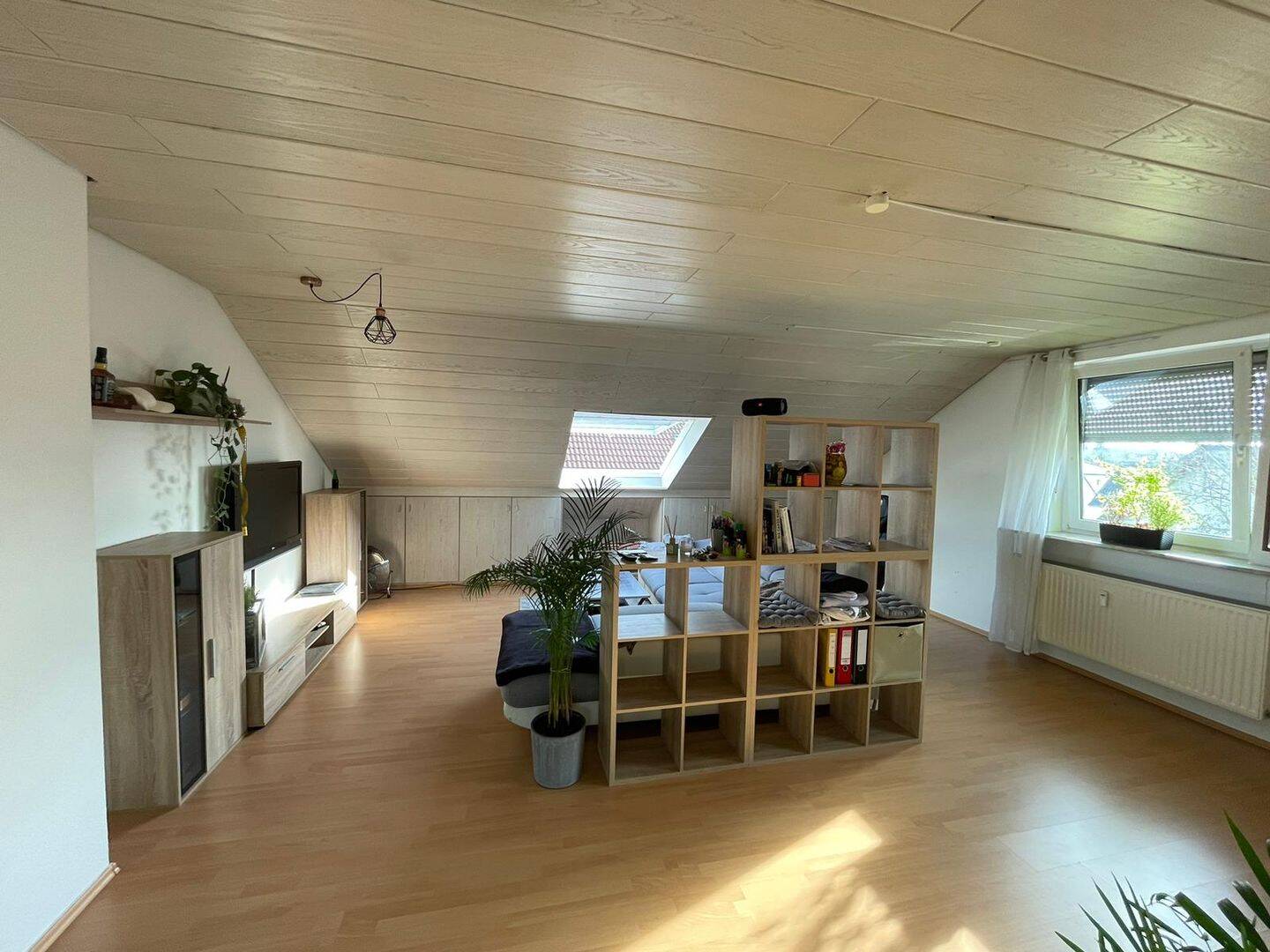Bild 11