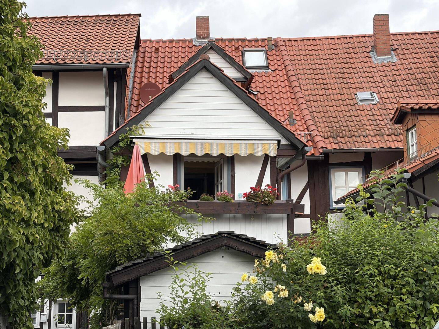Bild 11