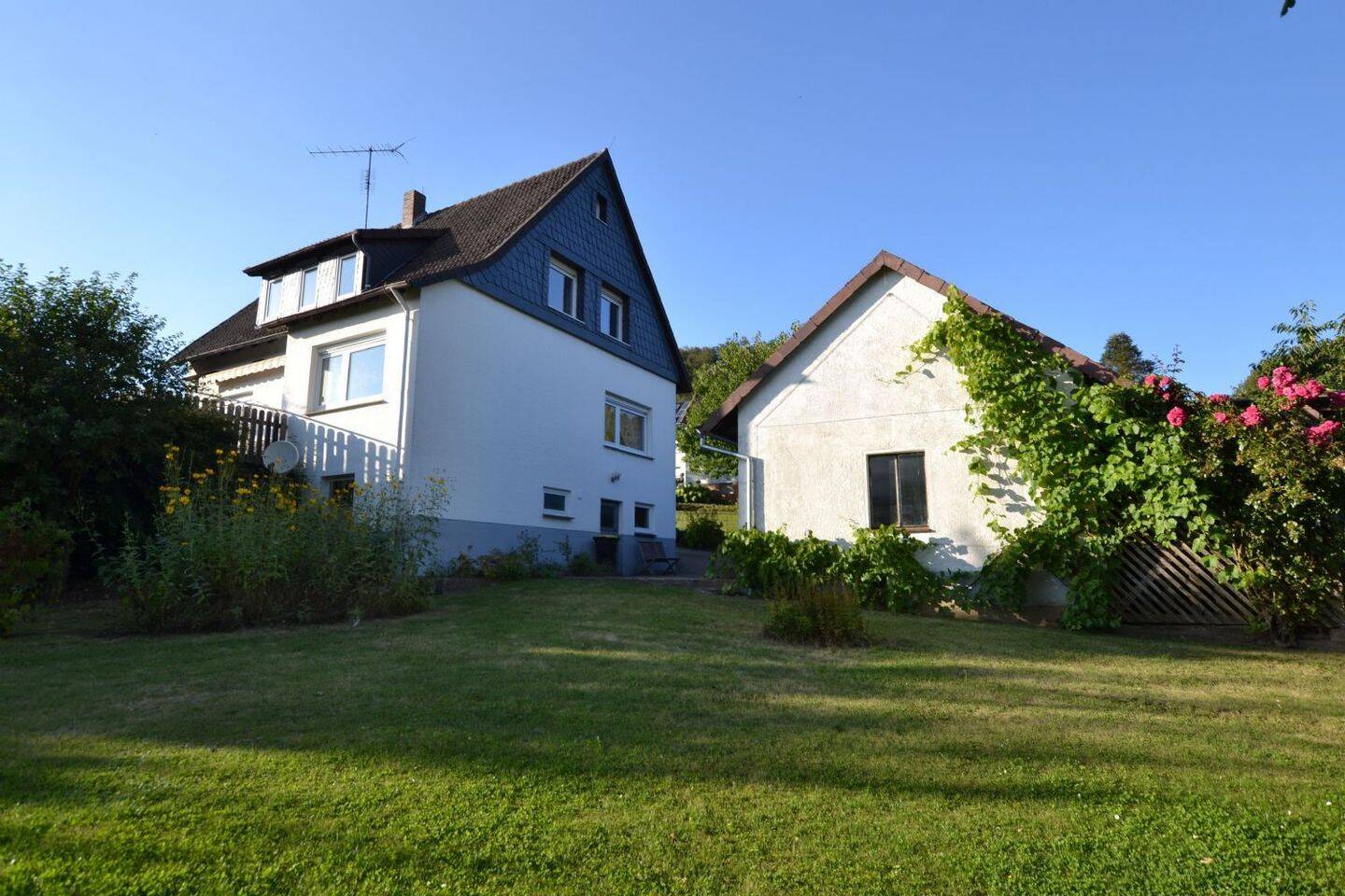Bild 11