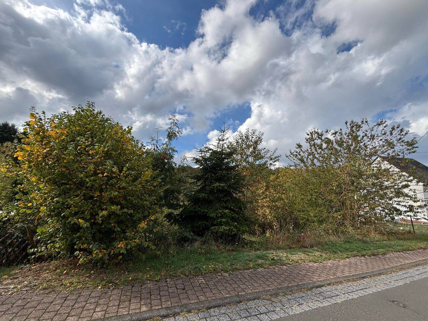 Baugrundstück in ruhiger Ortslage von Rorodt, 54411 Rorodt
