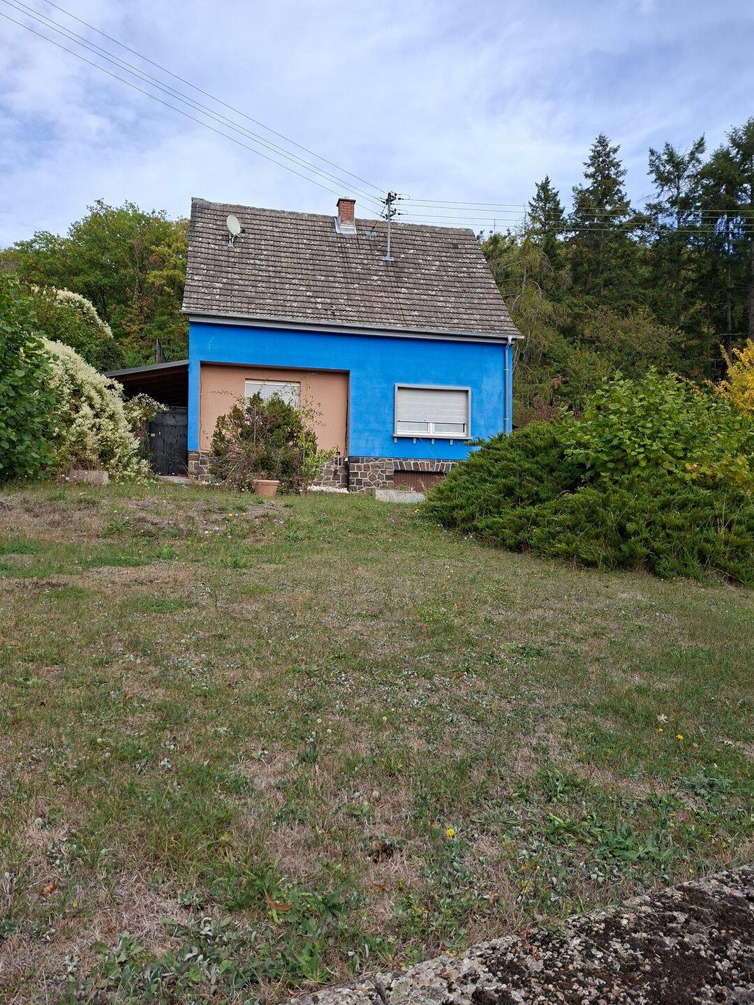 Bild 1