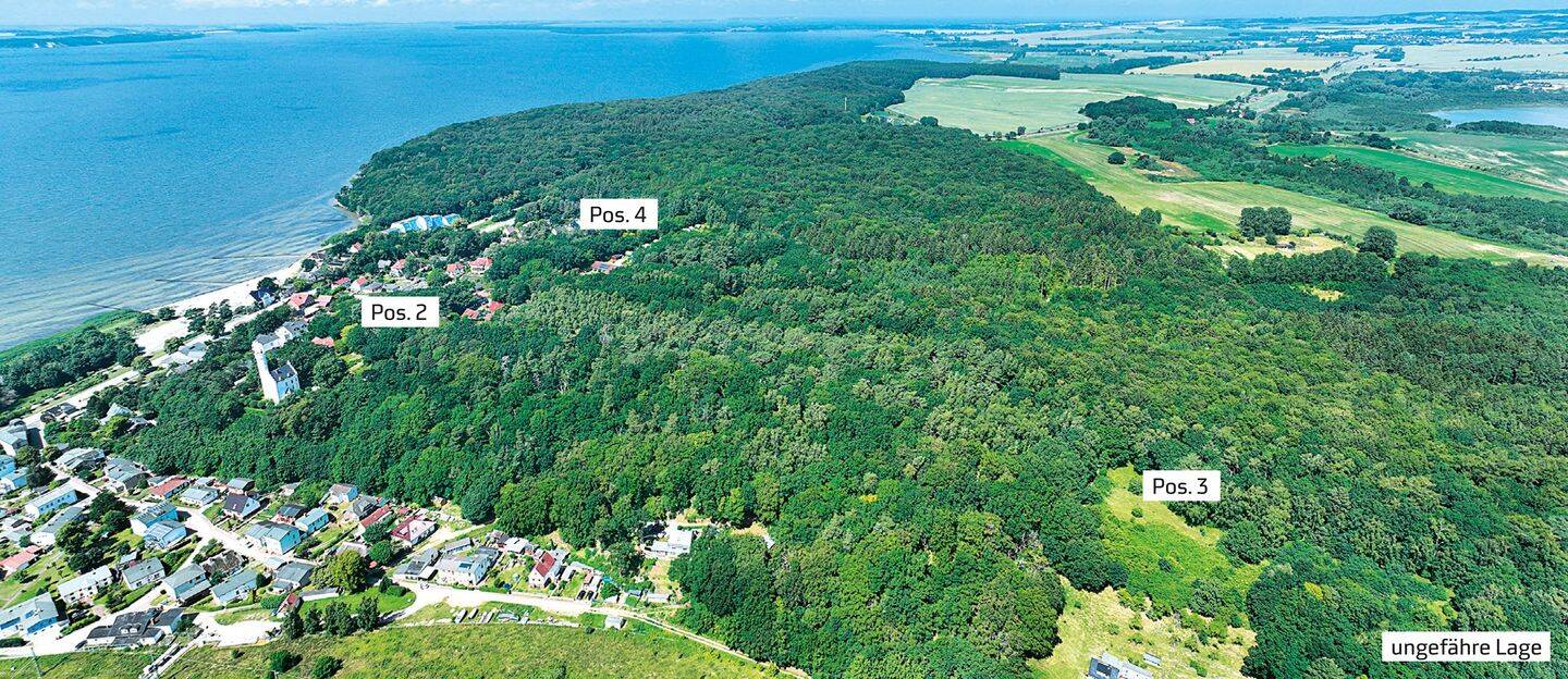 Wald in 18528 Lietzow /Insel Rügen, An der Waldstraße, 18528 Lietzow